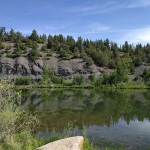 Meet your Posher, Berdine